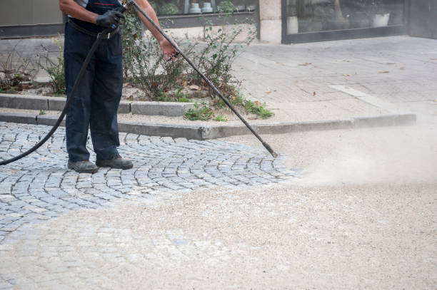 Best Gutter Cleaning  in Columbus Grove, OH